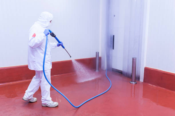 Pre-Holiday Cleaning in Glen Gardner, NJ